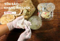 Tổ yến được xuất khẩu chính ngạch sang Trung Quốc