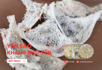 Lộ diện công ty chứng khoán vụ doanh nghiệp yến sào xuất hóa đơn 34.000 tỉ đồng trong 7 ngày