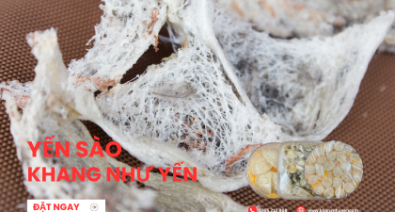 Bát nháo yến sào, đủ loại hàng giả